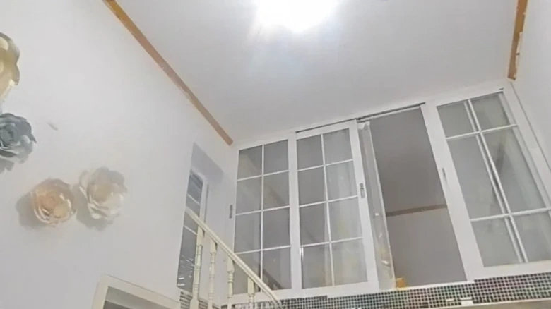 Guangzhou Olympic Garden - View 2