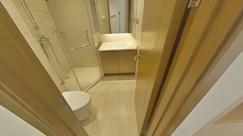 Swan Lake Harbor Three Districts - View 11