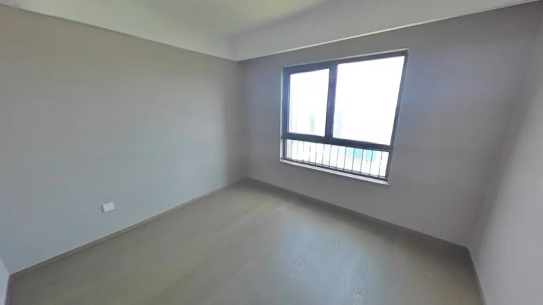 Renecheng Shi Chengguang Starlight - View 3