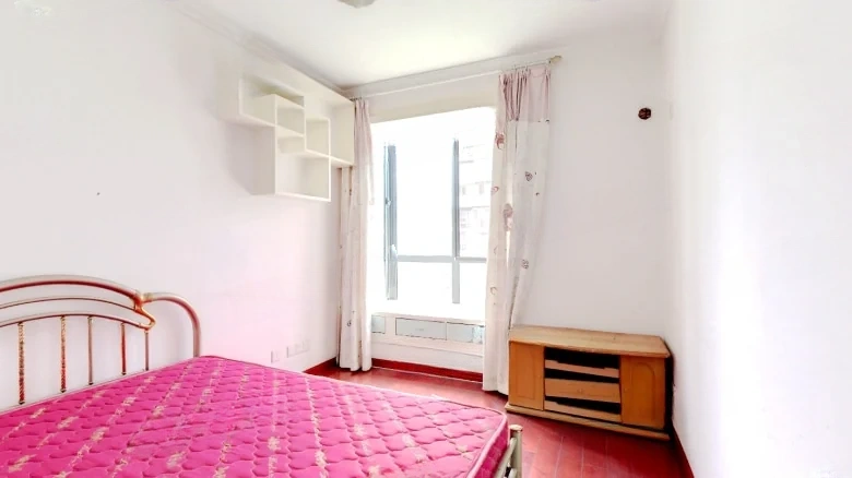 East District of Yadong City - View 3