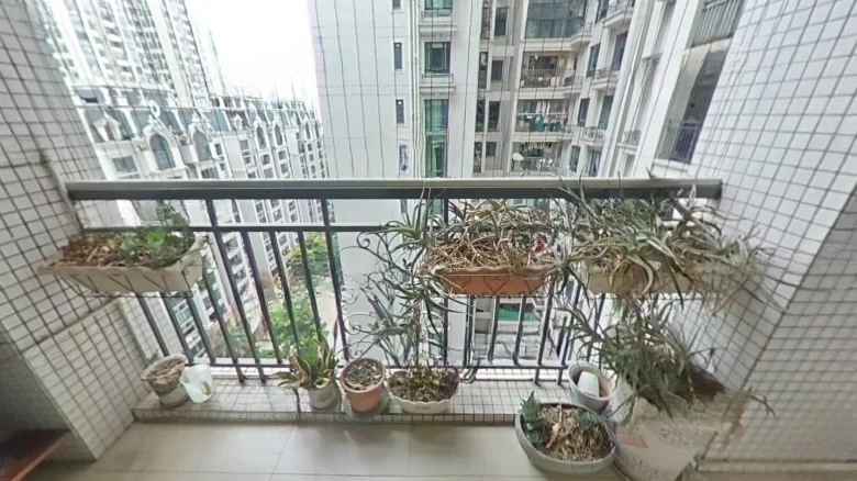 Poly Champagne Garden - View 13