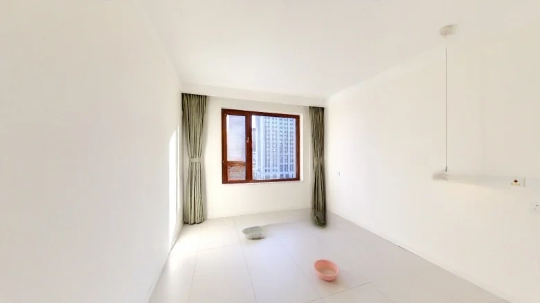 One Lake International - View 2