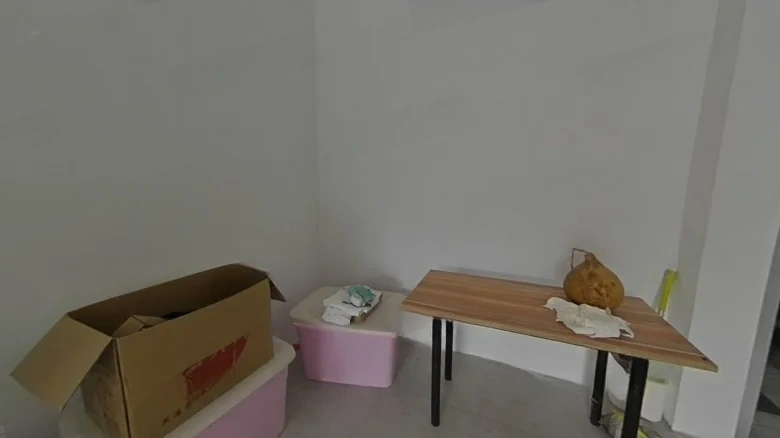 Vanke Peach Blossom Spring Phase II - View 5