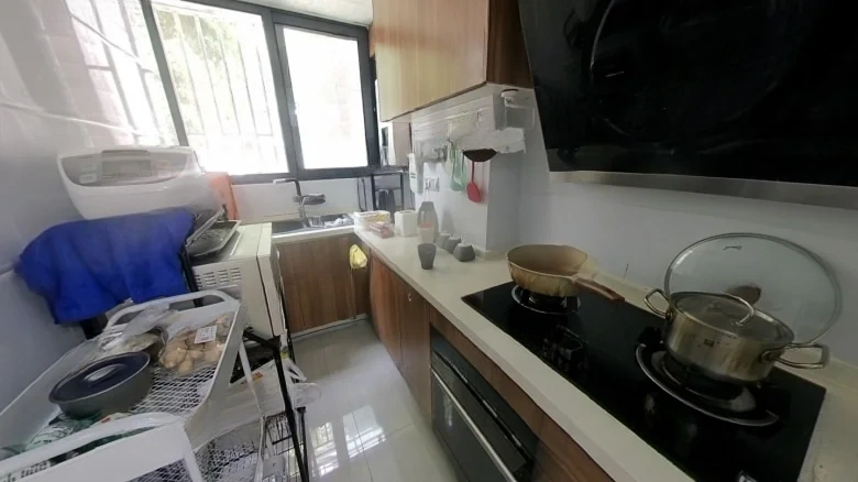 Oasis Garden - View 5