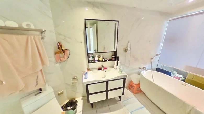 Lijing Magnificence Residence - View 7