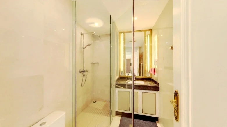 Xi Chen Original Manuscript - View 10