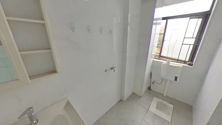 Qianlong Zuntuo Pin - View 7