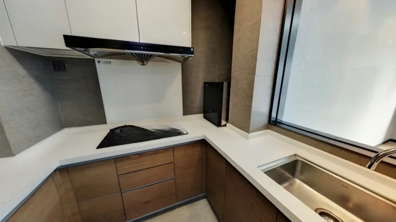 Renesas Century Center - View 5