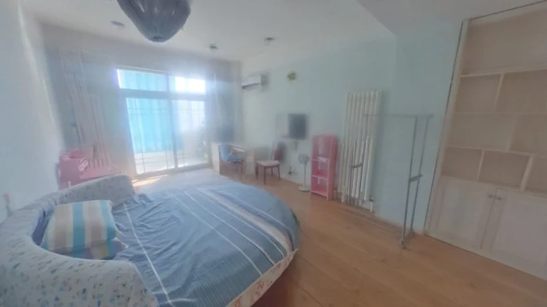 Jin Zhiyuan - View 2