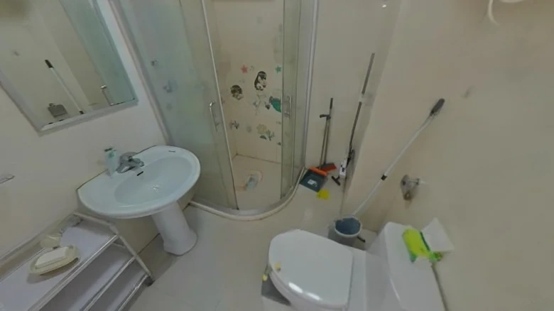 Golden Peak Family South District - View 7