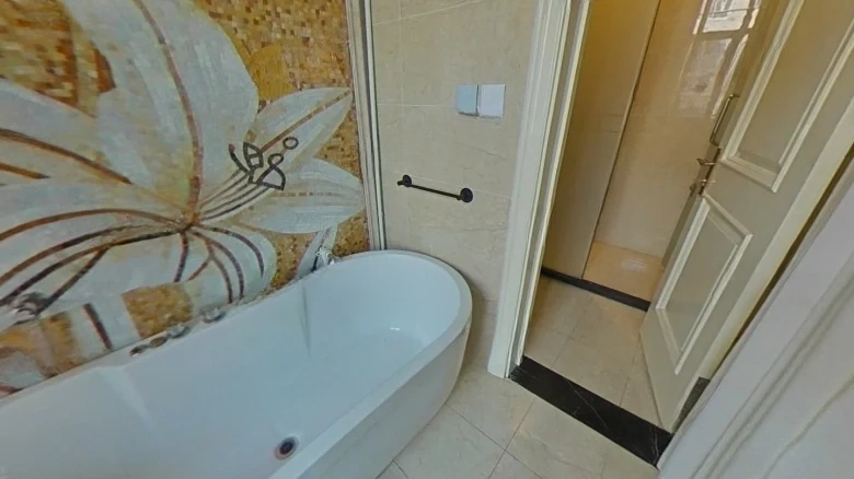 Spring Virtue Street - View 19