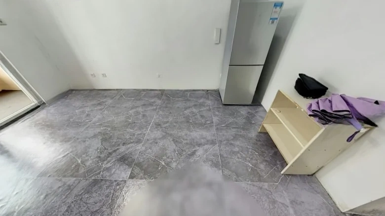 Lingxiu Jinpin Huayuan - View 4