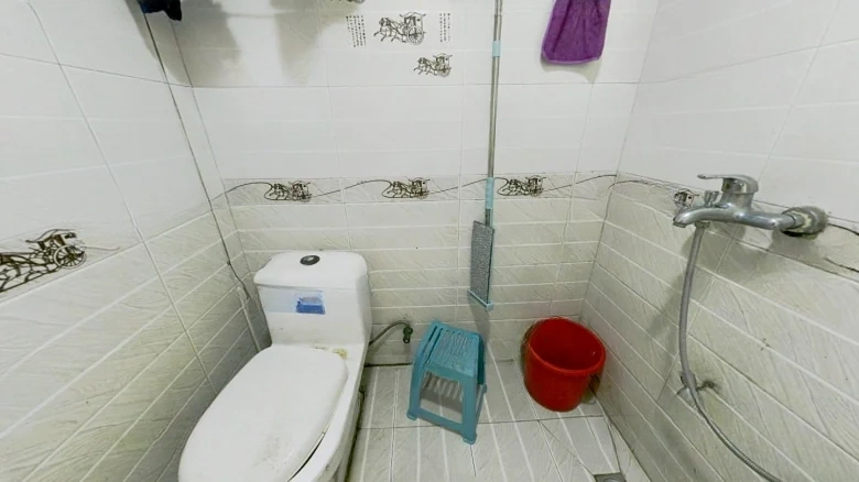 Golden Circummarine - View 3