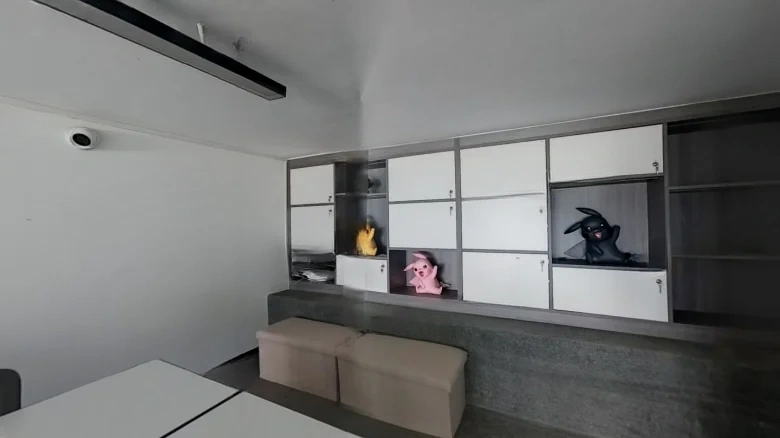 Roundway Changsha Seal - View 15