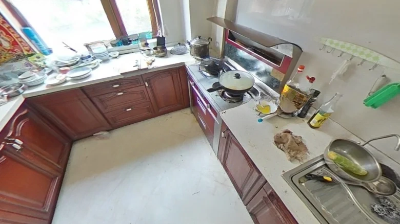 Elegant Imperial Manor - View 10