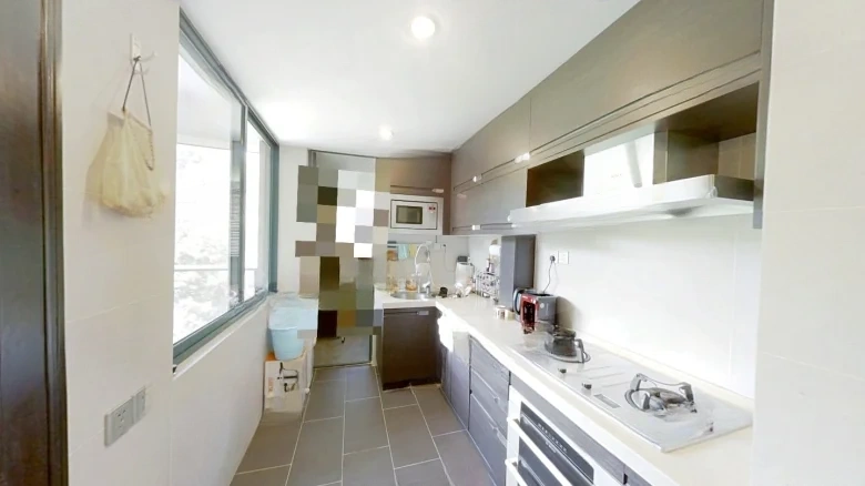 State Trade Spring - View 11