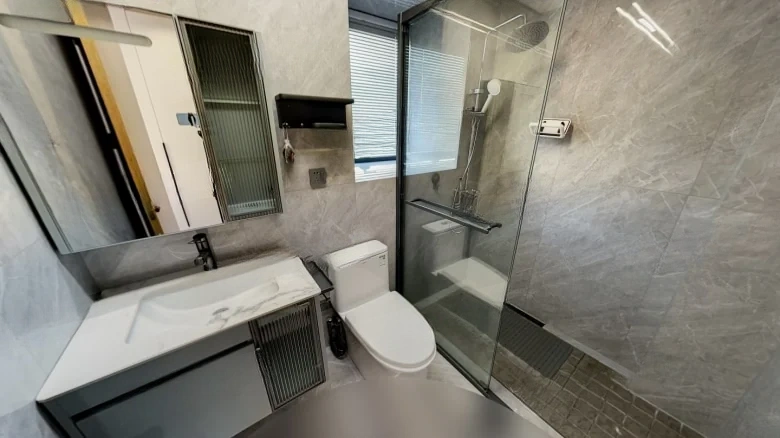 Dingfeng Lujiang 1号 - View 10