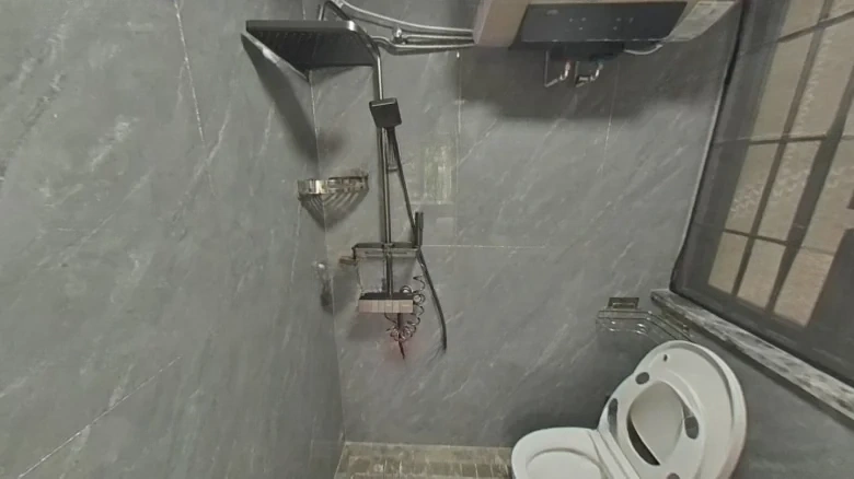 Fanghu Wu Tong New City - View 9