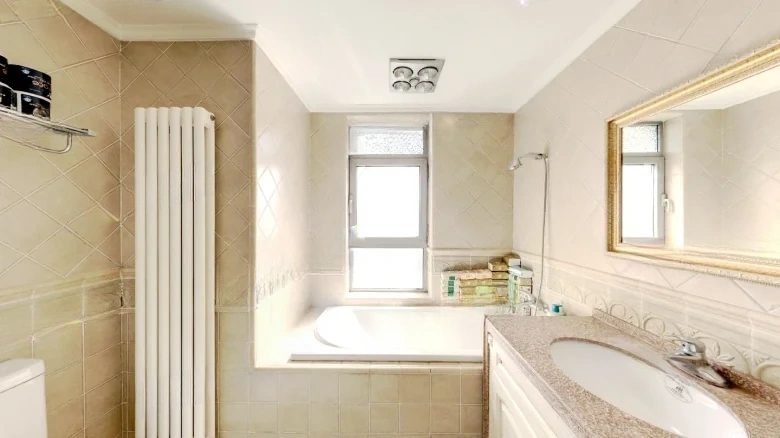 Shimao Xin Wu Li River - View 8