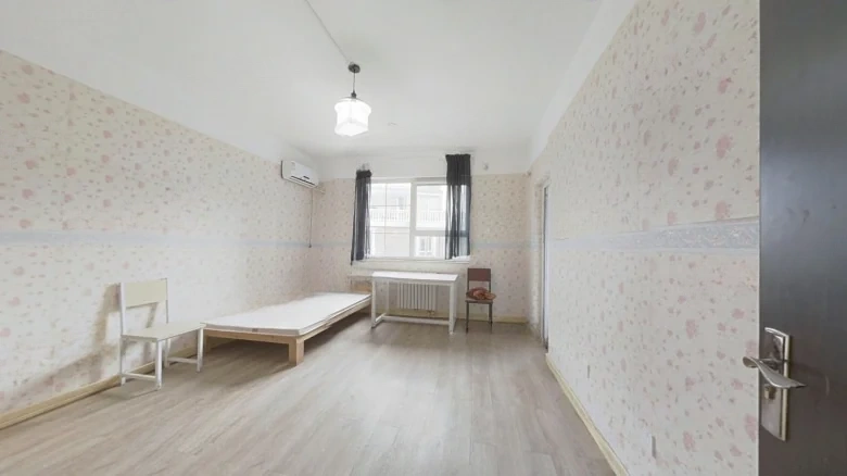 Swan Castle - View 7