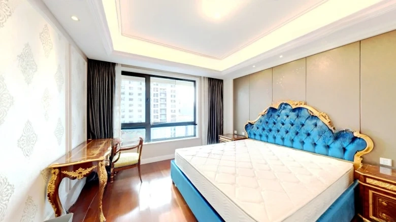 Xi Chen Original Manuscript - View 2