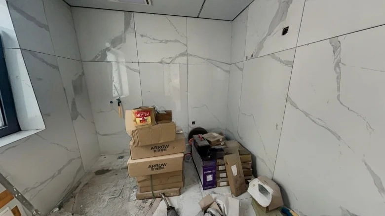 Seal Impression Across the Vast Sky - View 10