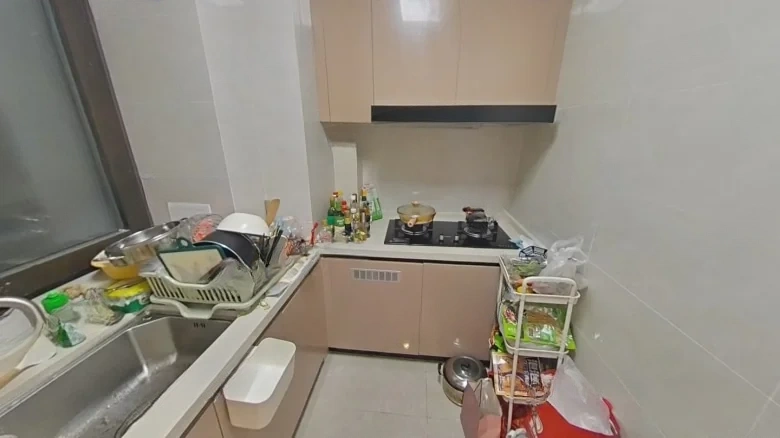 Jiuxi City Mansion首席府邸 should be translated more contextually as - View 3