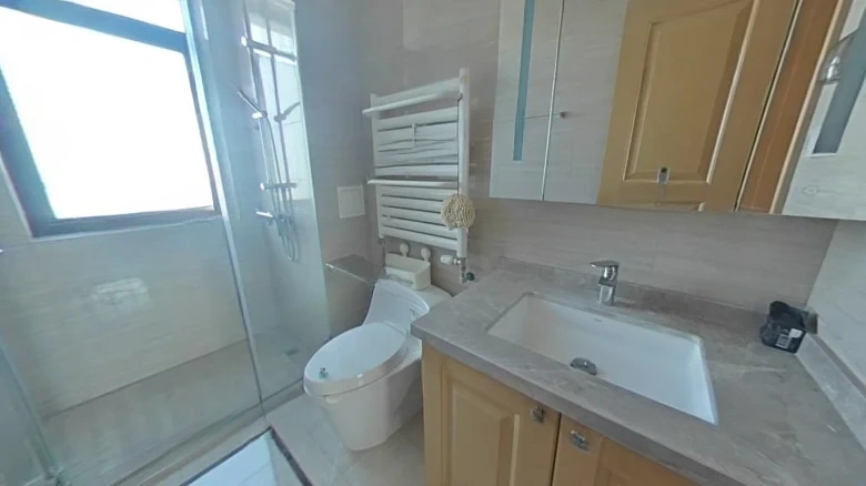 Lake Dragon Tianpu - View 9