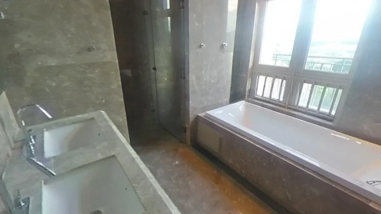 Wanke Lake Heart Island - View 11