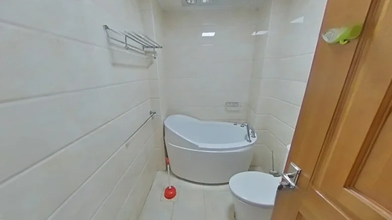 Ruilí Central Flower City - View 10