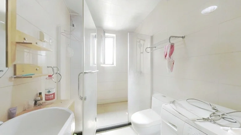 Silver Rich Garden - View 9