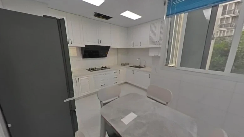 Wusong New City - View 6