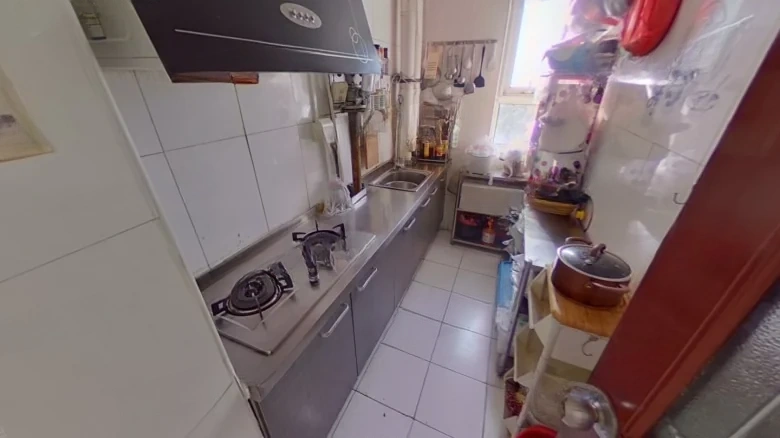 New Trend International Garden - View 4