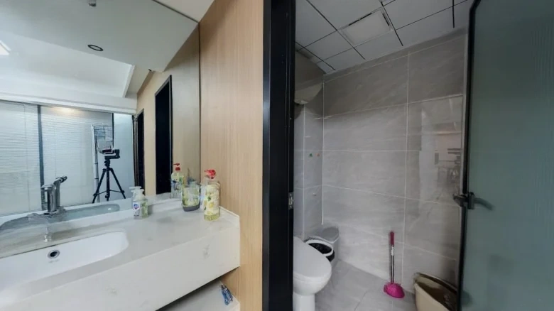 Ode to Joyfulness - View 9