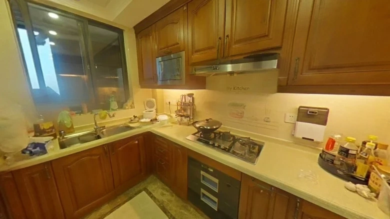 China Ocean Phoenix Xi An Phase III - View 8