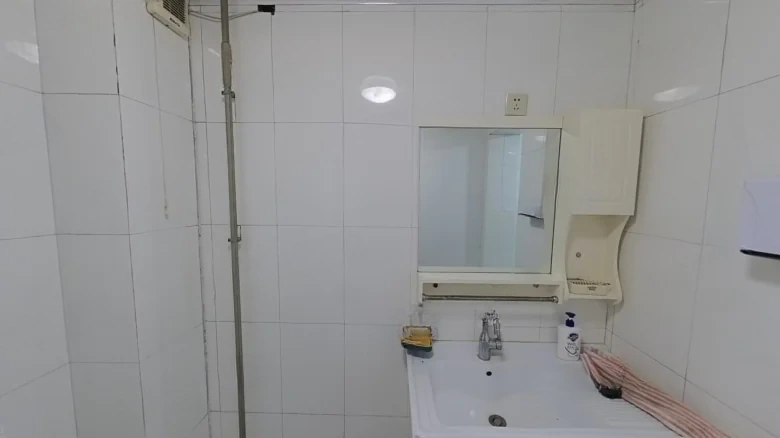 Xi Sanzhuang West District - View 9