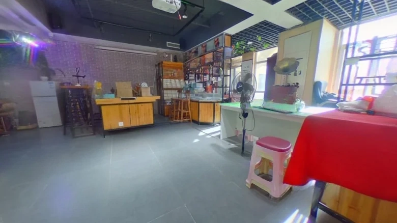 Joyful Earth Experience - View 2