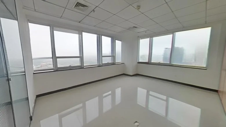 Oriental Goldstone - View 4