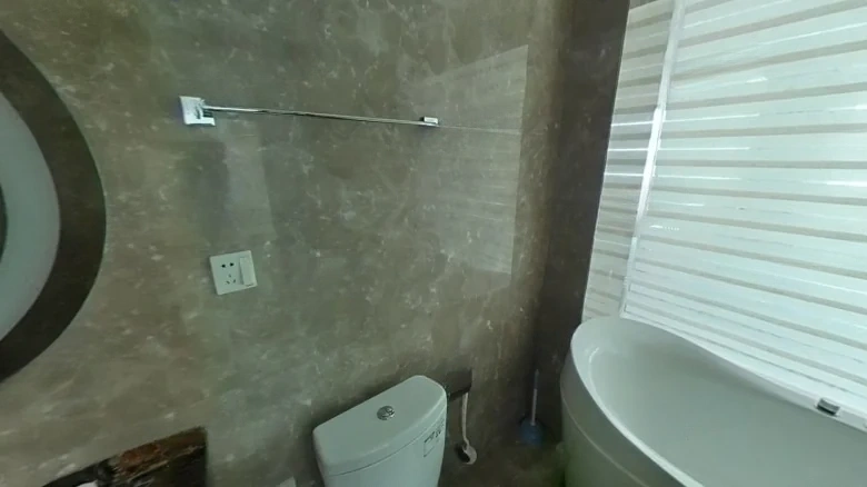 Dragon Success Garden - View 10