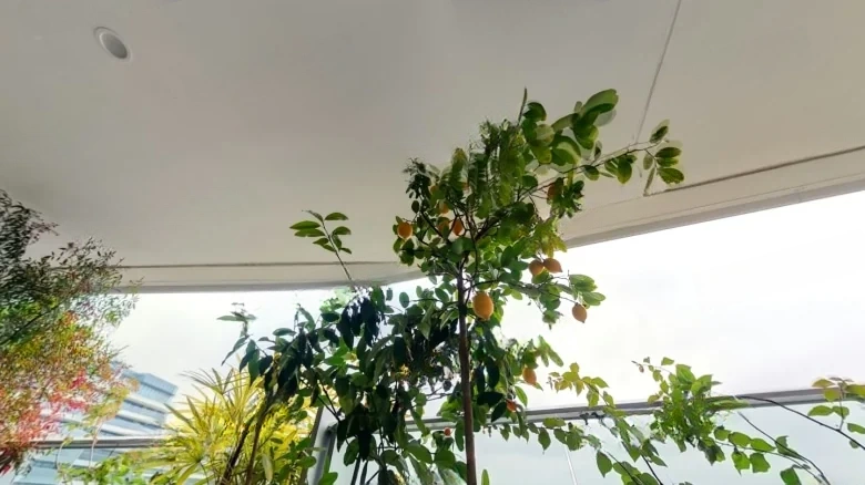 Pearl River Yide Mansion - View 10