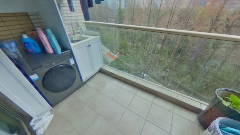 New City International and Garden - View 12