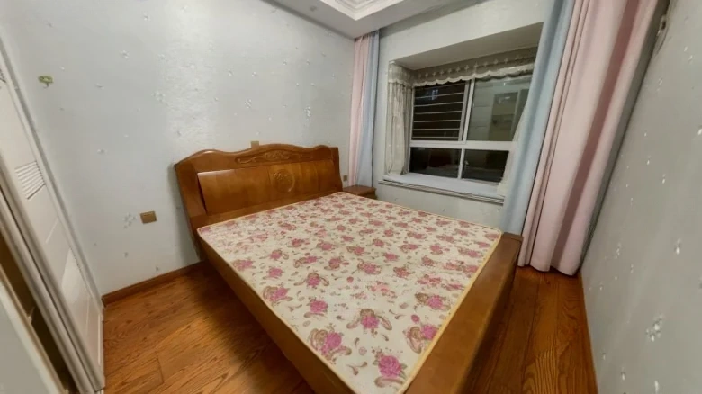 Shanghai City - View 3