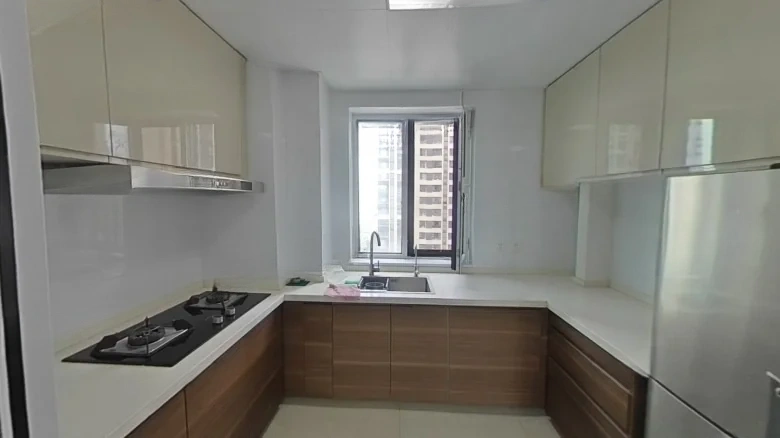 Poly Metropolis - View 8