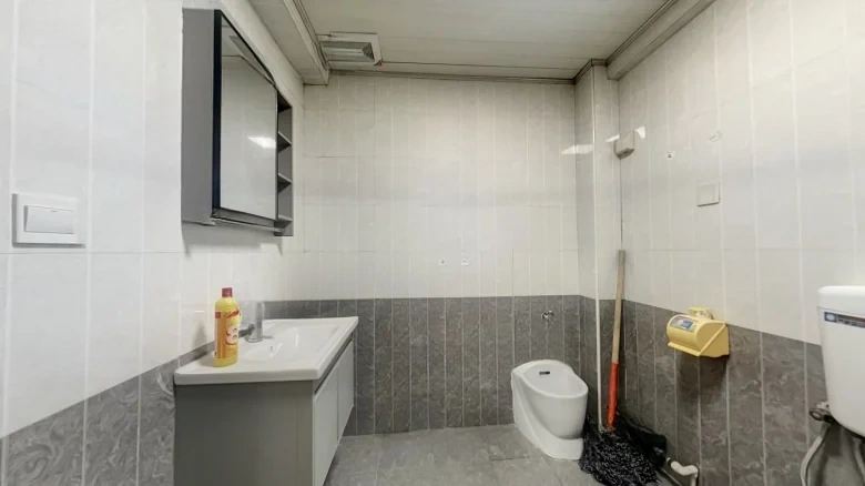 Dongli Tower - View 9