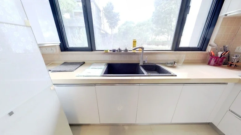 Xingdao Renshen - View 8