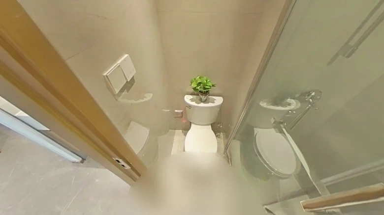 New Hope Midea Changlin Mansion - View 10