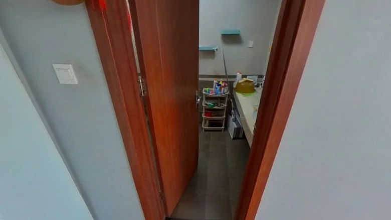 Green Fruit Saliva Street - View 5