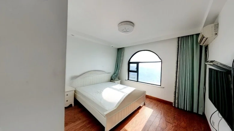 Huaqiang City - View 2