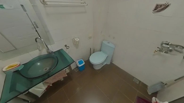 Millennium Dragon Garden Phase I - View 12