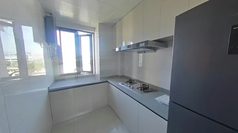 Benevolent New Mansion Residence - View 18